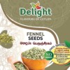 FENNEL – MAHADURU